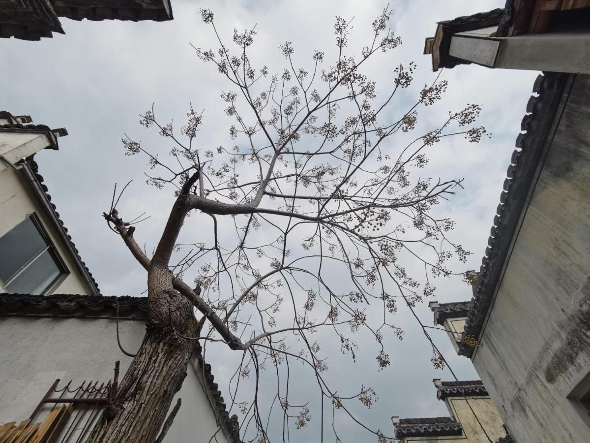 Xidi Kunlun International Hostel Yi (Anhui) Екстериор снимка
